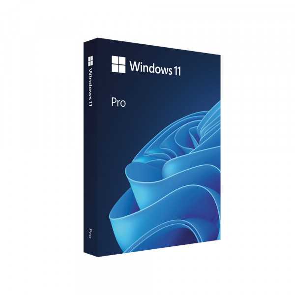 Windows 11 Pro ESD