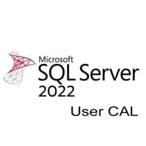 Microsoft SQL Server User CAL 2022