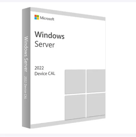 Microsoft Windows Server 2022 - 1 Device Cal